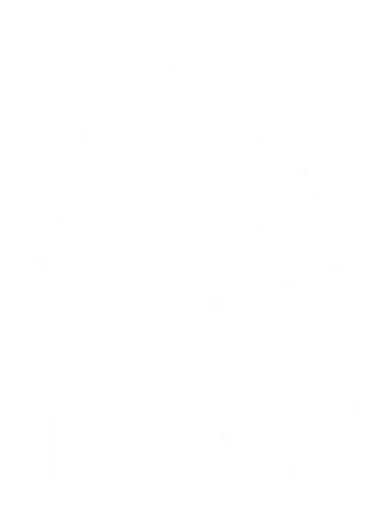 Otsego Media logo